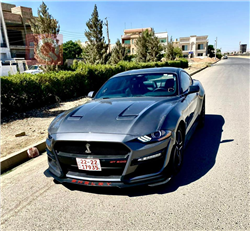 فۆرد مۆستانگ